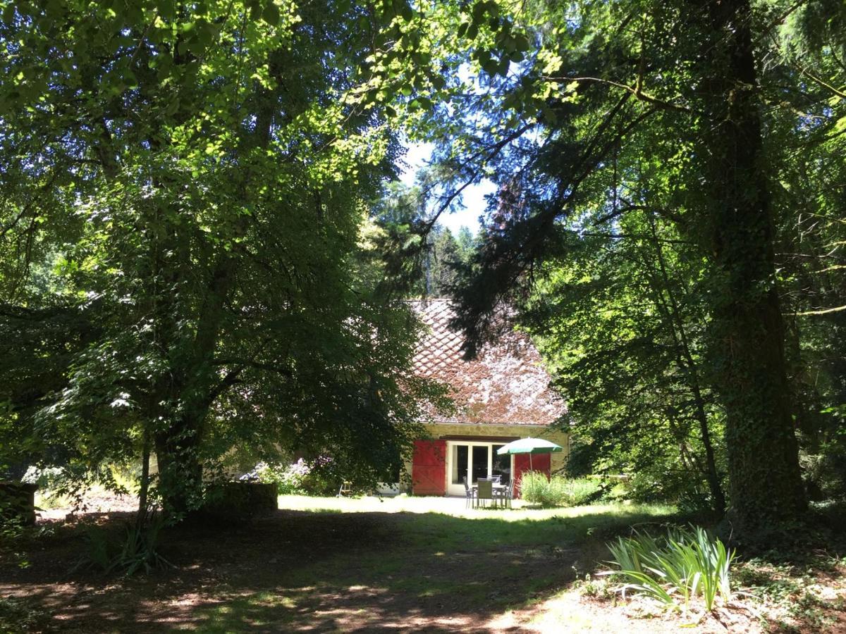 Gites Chateau Le Bois Saint-Julien-aux-Bois Esterno foto