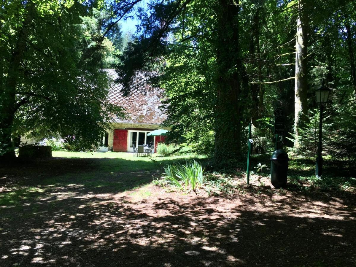 Gites Chateau Le Bois Saint-Julien-aux-Bois Esterno foto